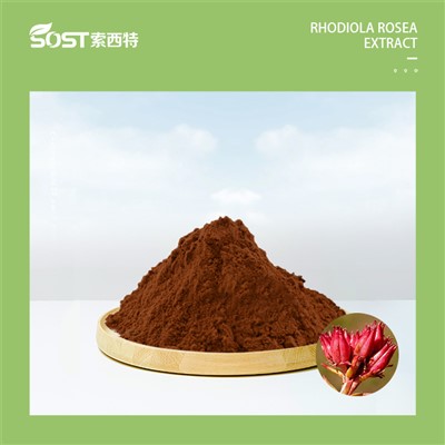 20240808gscs10.